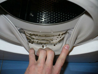 Как убрать неприятный запах из стиральной машины-автомат