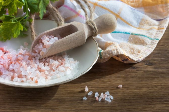 Для засолки используйте крупную морскую соль
